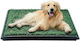 Dog Panties 1pc