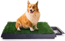 Hundewindeln Badeshose Hundewindeln Badeshose