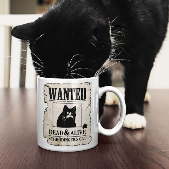 Schrodinger's Cat Ceramic Mug