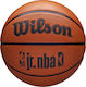 Wilson Mini Μπάλα Μπάσκετ Outdoor