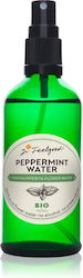 Dr. Feelgood Toning Face Mist Dr. Feelgood Toning Face Mist