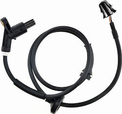 Senzor Viteză Roată Seat Cordoba 1993-2002 2.0l Sedan Seat Cordoba 1993-2002 1.8l Sedan Seat Cordoba 1993-2002 1.6l Sedan Senzor Viteză Roată Seat Cordoba 1993-2002 2.0l Sedan Seat Cordoba 1993-2002 1.8l Sedan Seat Cordoba 1993-2002 1.6l Sedan