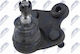 Артикулационна Опора Honda CR-V III 2006-0 2.2L SUV Honda CR-V III 2006-0 2.4L SUV Honda CR-V III 2006-0 2.0L SUV