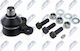 Vorderes System Für Das Auto Peugeot 2008 I 2013-0 1.2l Suv Peugeot 2008 I 2013-0 1.5l Suv Citroën C3 I 2002-0 1.4l Schrägheck