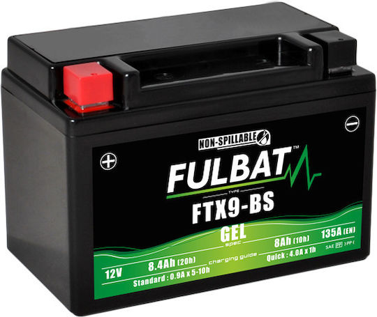 Fulbat UPS Battery with Capacity 8.4Ah and Voltage 12V 550921 1 Piece