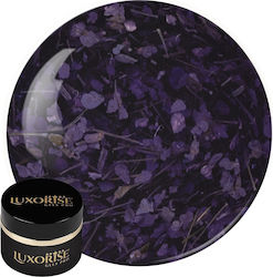 Uv Gel Nagelaufbau Revoflex Floral Luxorise 15m...