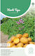 Potato Seeds 10pcs