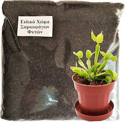 Plant Soil 1kg