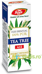 Ulei Esențial Arbore De Ceai A12 10ml Ulei Esențial Arbore De Ceai A12 10ml