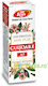 Clove Essential Oil A7 10ml