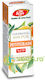 Ätherisches Öl Petitgrain Bitterorange Blätter 100% Pure N175 10ml