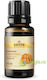 Frankincense Essential Oil 10ml