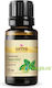 Peppermint Essential Oil 10ml