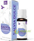 Sweet Sage Essential Oil 10ml