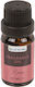 Aromatisches Öl Oil Burner 10 Ml Rose