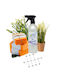 Hyltonia Perfume 500ml Ideal For Hotels & Airbnb