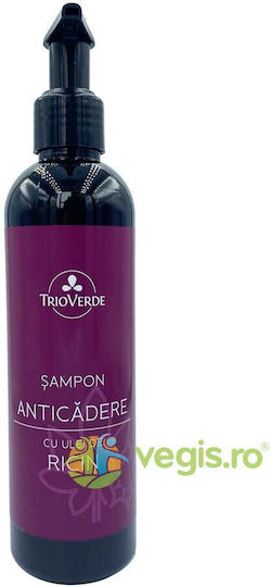 Anti-Haarausfall Shampoo Rizinusöl 250ml