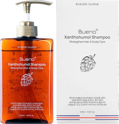 Balancing Shampoo Haarwachstum Stärkung Xanthohumol 500ml