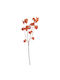 Kladí Tεxníto Fytó Louloudía 112cm Orange