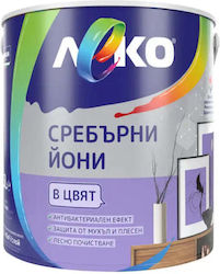 Сребрист Yoni Зряла Смокиня 2.5 Л Leko