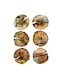 Wandsticker 65x85cm/1 Stück Städte