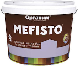 Interior Paint Lilac Color 5 Kg Mefisto