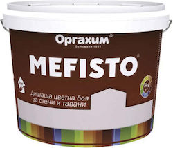 Innenfarbe Asche Rosen 5 Kg Mefisto