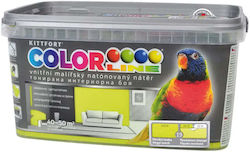 Vopsea Latex Colorată Simplă Culoare Pajiște 4 Kg Color Line