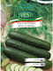 Ivesto Cucumber Seeds