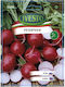Radish Seeds Champion Ivesto