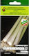 Leek Seeds Staro Zagora