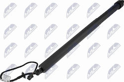 NTY Kofferraum-Schock Für Land Rover Range Rover V 2021-0 3l Suv Für Land Rover Range Rover V 2021-0 4.4l Suv Für Land Rover Range Rover V 2021-0 3.0l Suv NTY Kofferraum-Schock Für Land Rover Range Rover V 2021-0 3l Suv Für Land Rover Range Rover V 2021-0 4.4l Suv Für Land Rover Range Rover V 2021-0 3.0l Suv
