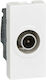 Single-module Tv Socket Mosaic Legrand
