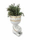 Figurină Șezută Ghiveci Rhipsalis ÎÎ17cm L7cm