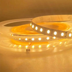 Lightex Ταινία LED 24V Θερμό Λευκό Lightex Ταινία LED 24V Θερμό Λευκό