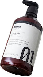 Scandal Beauty Σαμπουάν Λάμψης 500ml Scandal Beauty Σαμπουάν Λάμψης 500ml
