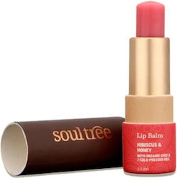 Hibiscus Honey Lip Balm 3.5g Hibiscus Honey Lip Balm 3.5g