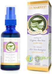 Aloe Vera Oil Hydrating Soothing Regenerating Skin Organic 50ml Aloe Vera Oil Hydrating Soothing Regenerating Skin Organic 50ml