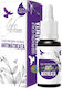 Anti-dandruff Scalp Oil 10ml