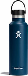 Hydro Flask Standard Flex Cap Ποτήρι Θερμός Ανο...