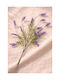 Lavender Bouquet Single Stem 70cm 20x20x70cm Monochrome Kaeming