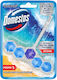 Domestos Block Λεκάνης