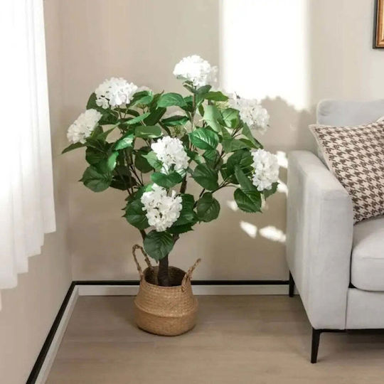Decorative Plant In Pot Rossima Hydrangea