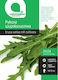 Wide-leaved Arugula Seeds Botanic
