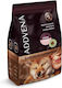 Dog Food 2.5kg Ξηρά Τροφή χωρίς Σιτηρά για Κουτάβια Μικρόσωμων Φυλών με Βοδινό