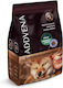 Dog Food 2.5kg Dry Dog Food Grain-Free for Adult Dogs of Medium & Large Breeds with Beef