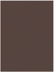 Favini Картон 50x70см 220гр №13 Тъмнокафяв