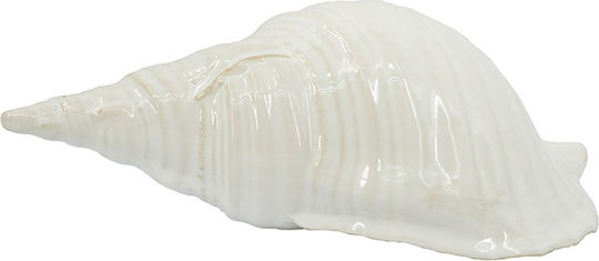 Artekko Andes Weißes Keramik Tischdekoration Muschel 31x15x11 cm