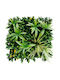 HD Panou Sintetic Foliage 50x50cm