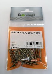 Bmontage Βίδα με Διάμετρο M3 και Μήκος 16mm 45τμχ
